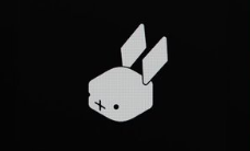 Rabbit宣布与AI搜索引擎Perplexity合作