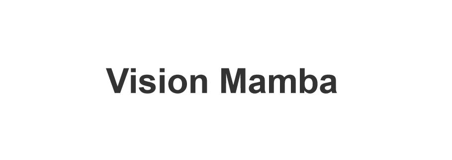 位置感知视觉识别Vision Mamba新模型发布