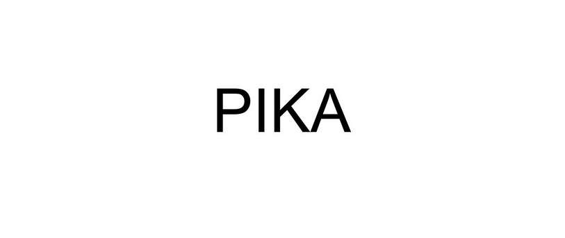 Pika联手北大斯坦福开源文生图框架